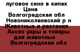 луговое сено в кипах › Цена ­ 120 - Волгоградская обл., Новониколаевский р-н Животные и растения » Аксесcуары и товары для животных   . Волгоградская обл.